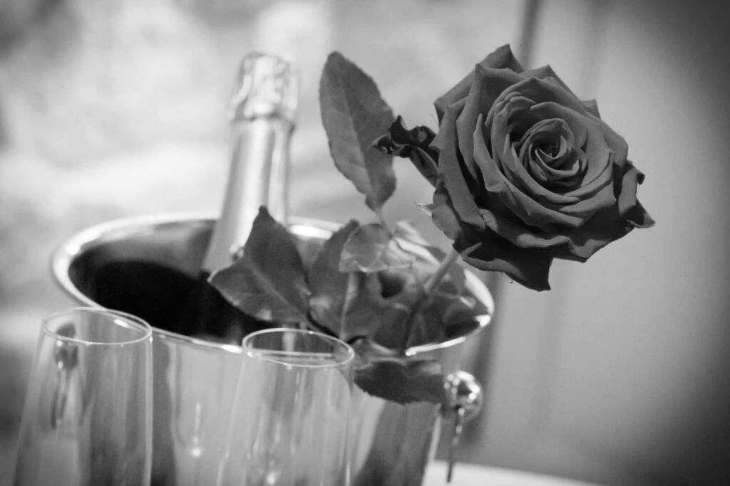 Gite Love Dream - Le Gite Romantique Ger  Exterior foto